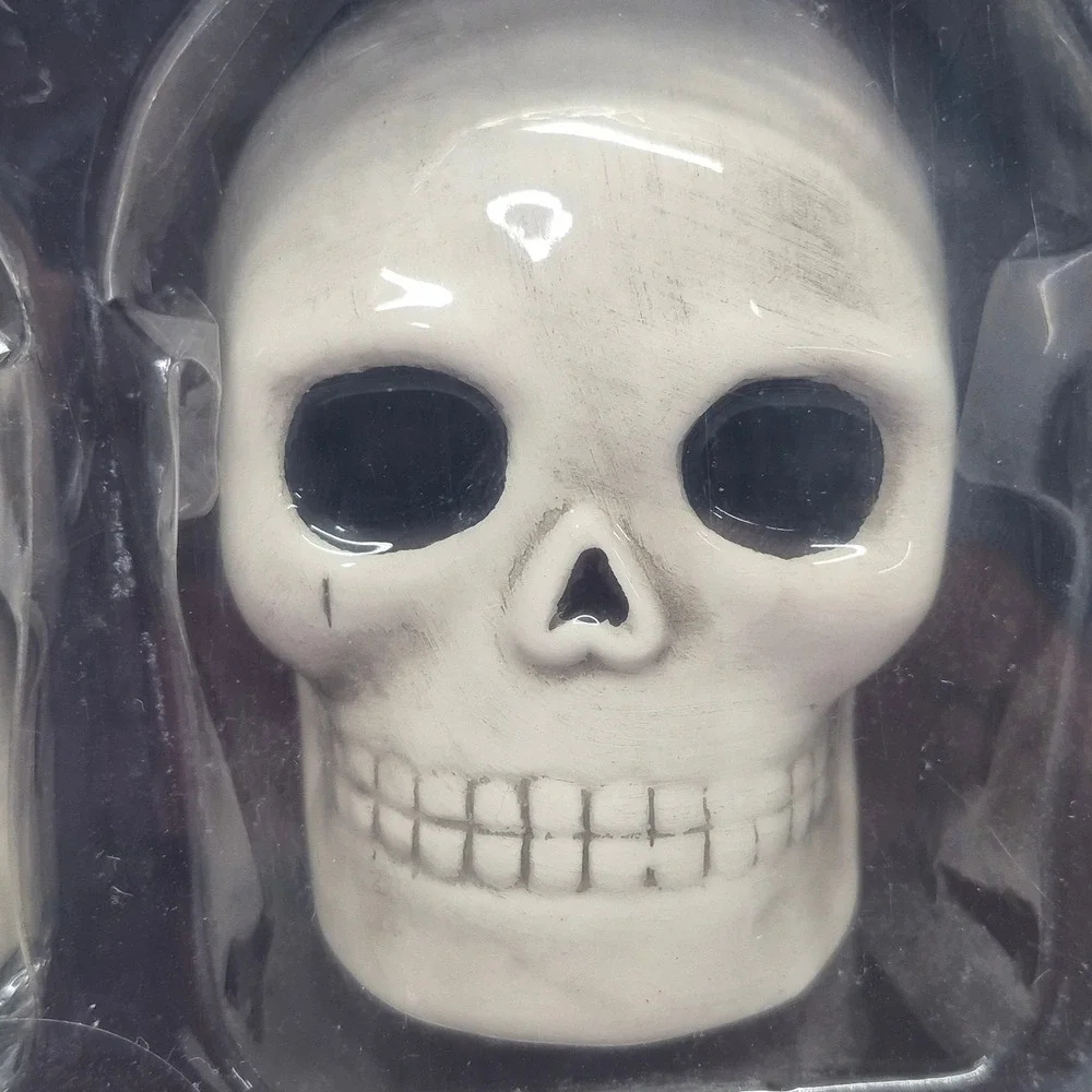 Midnight Spell Skull Salt and Pepper Shaker Set Ceramic Gothic Halloween Decor